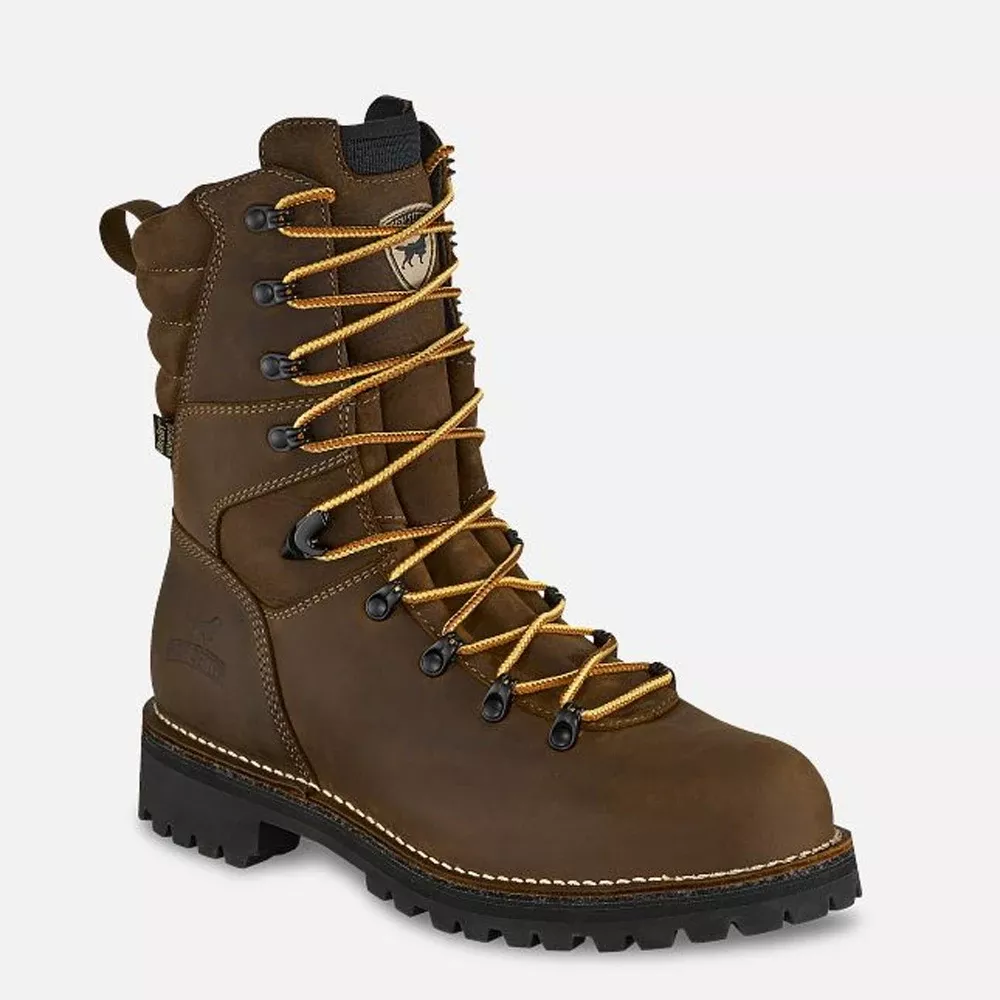 Irish Setter Boots Men's 9" Shorewood Waterproof Leather Safety Toe Boot - Brown, Size 6 83870-D-060