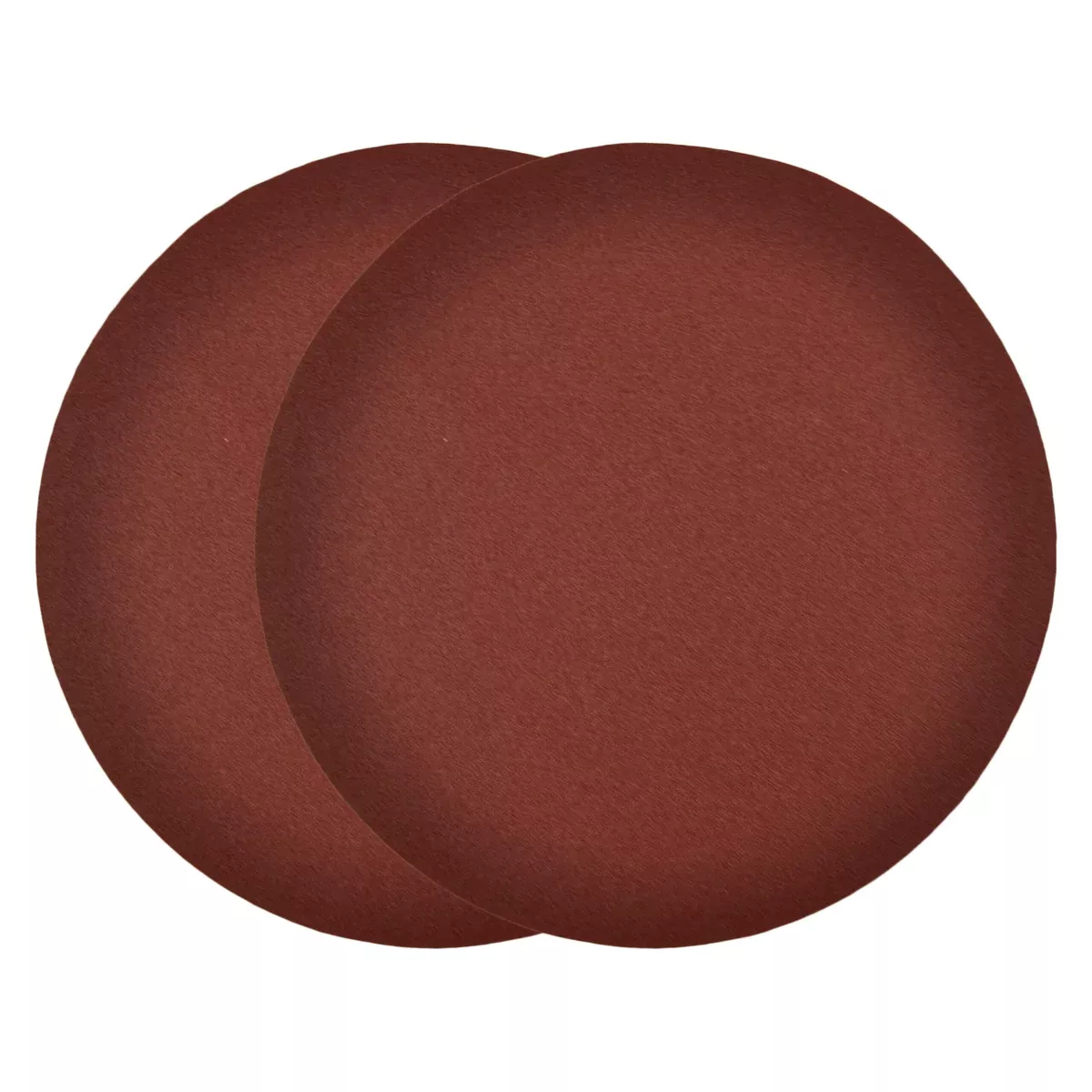 RIKON 10″ Disc PSA (2 PACK)