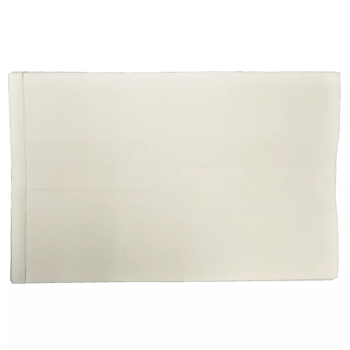 RIKON Paper Filter Bags For 63-100, 63-110 (5 PACK)